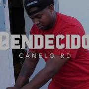 Canelo Rd Bendecido