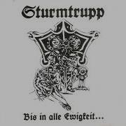 Sturmtrupp 180 Grad