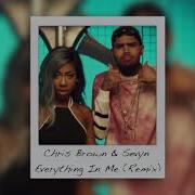 Chris Brown Sevyn Streeter Everything In Me Remix