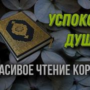 Успокоить Душу Слушайте Чтение Коран