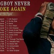 Youngboy Never Broke Again Greatest Hits Best Music Playlist Rap Hip Hop 2021 Full Album 2 Turtle