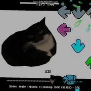 Fnf Maxwell The Cat