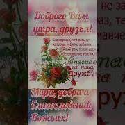Доброе Утро Божьих Благословений Дорогие Друзья С Добрым Утром Друзья Христианские Пожелания