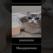 Бананчики Арбузики Мандаринчики