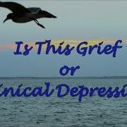 Grief Depression