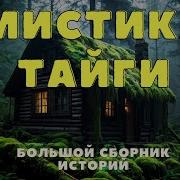 Аудиокниги Про Тайгу И Охотников