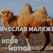 Вячеслав Малежик Верблюд 1987 Г
