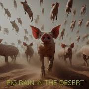 Pig Rain In The Desert