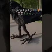 Джин Ган Гули Гули