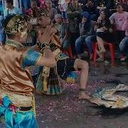 Jatilan Ajining Raga Celeng Ningrat Ft Prodi Sendrariya Live Kasongan