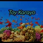 Toy Karayo