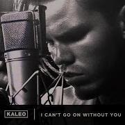 I Can 039 T Go On Without You Kaleo