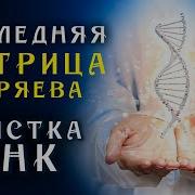 Полная Регенирация Тела Восстановить Днк Исцеление И Увеличение Энергии