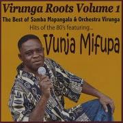 Samba Mapangala Virunga