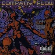 Compagny Flow Vital Nerve