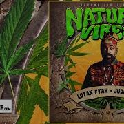 Lutan Fyah Judgement