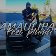 Peso Pluma Tamaulipas Corridos 2023 Corridos Vrg