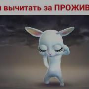Смешные Анекдоты От Zoobe Зайка