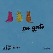 Jair Blanco Su Gato Feat Strauss Xploit