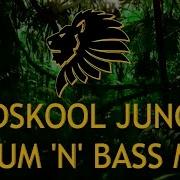 Jungle 1996