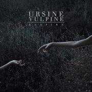 Ark Ascending By Ursine Vulpine