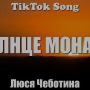 Солнце Монако Из Тиктока