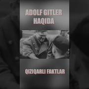 Gitler Haqida Qiziqarli Faktlar