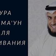 Мишари Рашид Сура 107 Аль Маун Мелочь