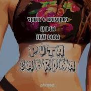 Xhule Noisebro X Faiken Puta Cabrona Feat D Low Phazed Collective