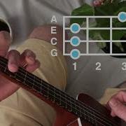 The Loser Zach Farache Ukulele Chords