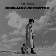 30 А Токарев Седьмой Лепесток