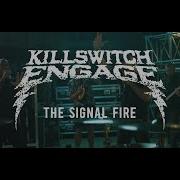 Signal