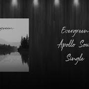 Apollo Soul Evergreen