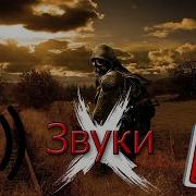 Звук Бега В Сталкер