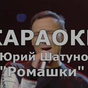 Ромашки Юрий Шатунов Караоке