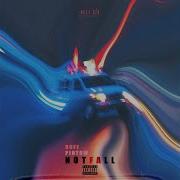 Pintow Notfall
