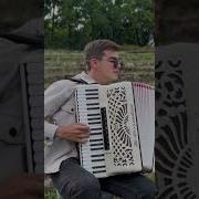 На Аккордеоне Чардан