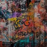 Eccentric Extended Mix Prana Flow