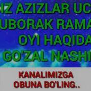 Nashida Siz Izlagan