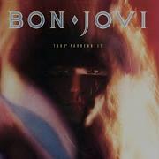 Secret Dreams Bon Jovi