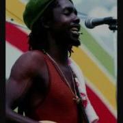 Peter Tosh I Am That I Am 1977 Markmariokartds