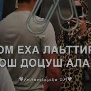 Доьвзира Вай Вовше Хазачу Дийнахь
