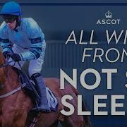 All Wins From Not So Sleepy Ascotracecourse