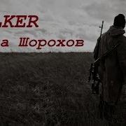 Stalker Долина Шорохов Сердце Оазиса