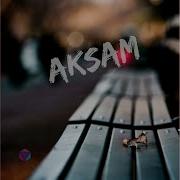 Giz Aksam