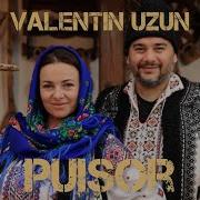 Valentin Uzun Puisor