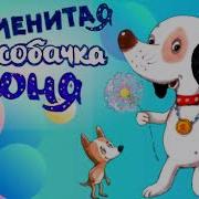 Соня Морей И Ее Аудиокниги