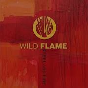 Wild Flame Steel And Fire