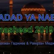 Вдохновляющий Нашид 2019 Г Hd Madad Ya Nabi Абдурахман Гаджиев И