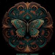 The Place Of My Dreams Synthetra